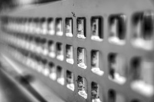 开云体育app注册-高校运动训练科学管理模式创新实践，运动训练科研管理工作要求