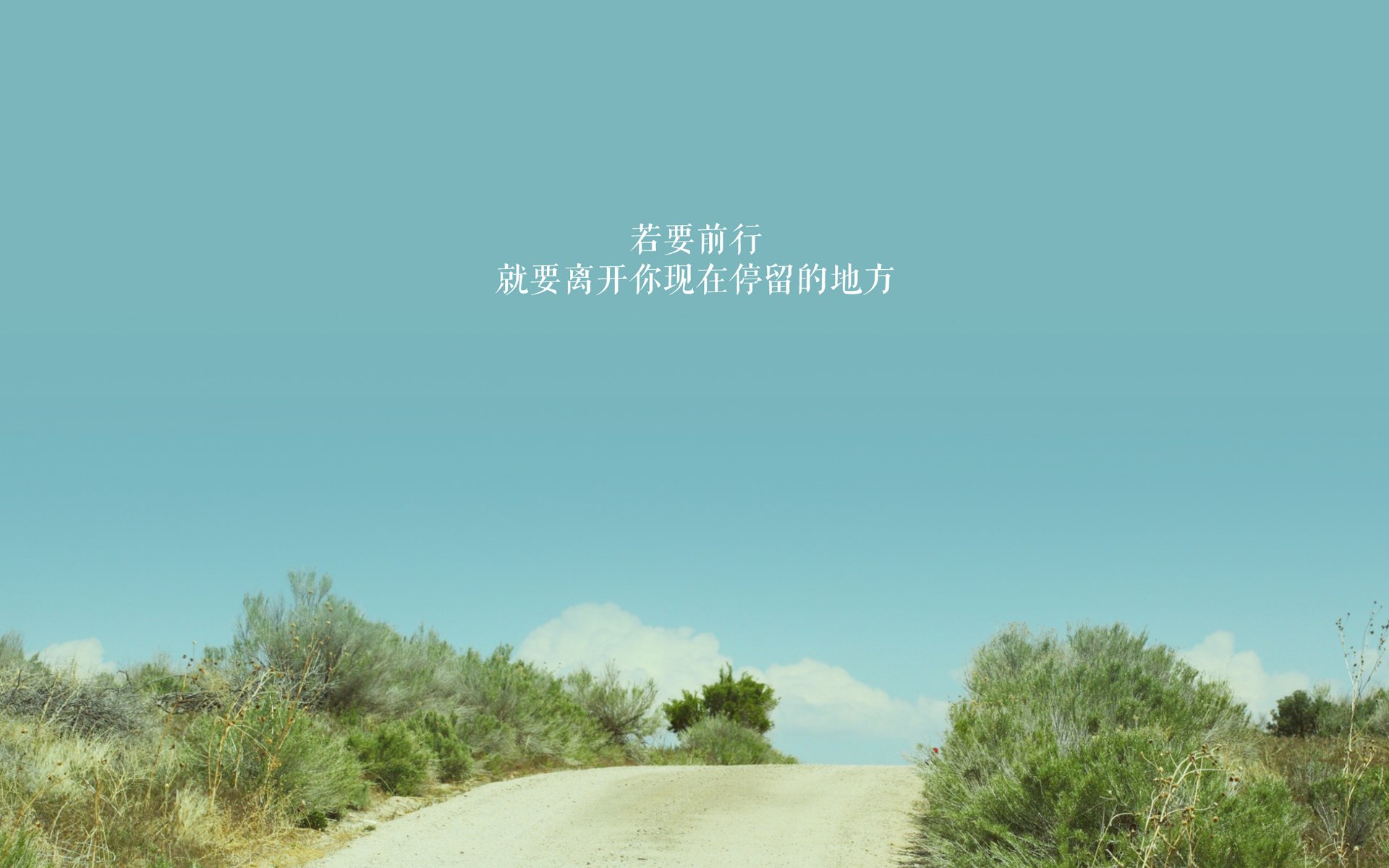 波兰队在国际乒联混合团体世界杯中的关键战术与调整,波兰国家队世界杯阵容