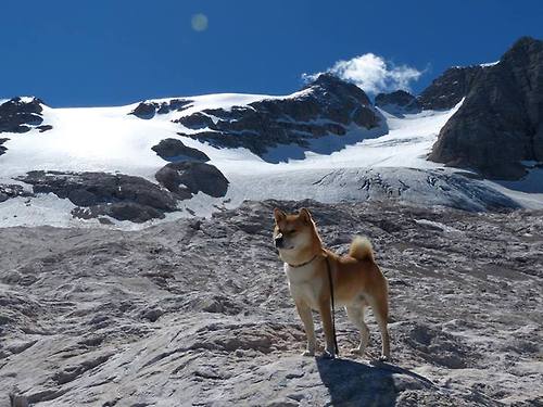 开云体育链接-中国男篮组织战术沙盘推演提升比赛执行力，中国男篮十大经典比赛