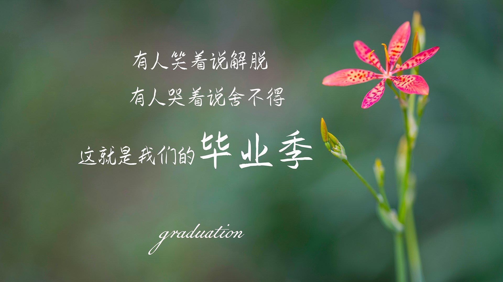 开云体育-比利时男篮在欧洲预赛中坚持不懈，冲击奥运舞台，比利时男篮3v3