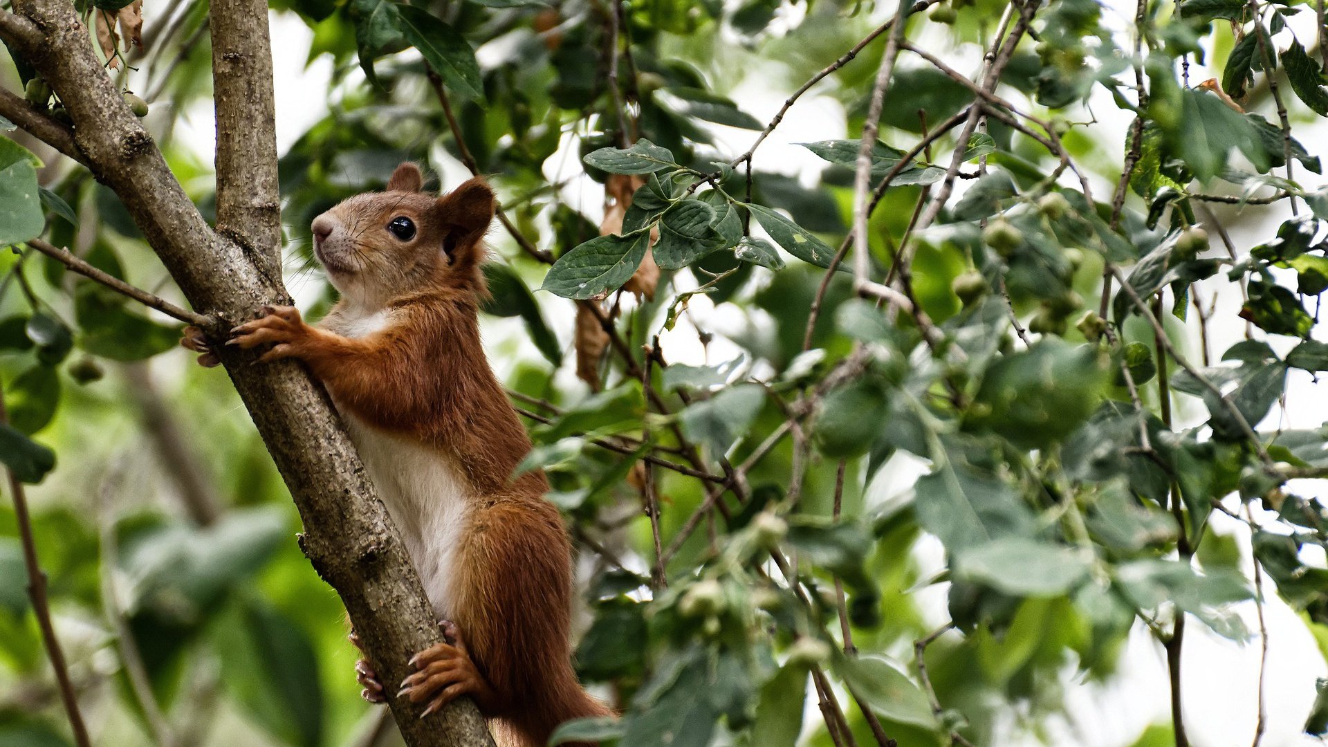 开云体育登录入口-跨界合作推出足球运动特色的文化创意衍生品，市场火热，足球 文化
