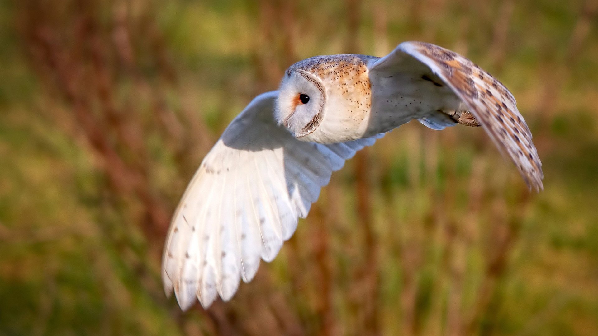 开云体育官网在线-一日英超速递：斯洛特赢球引发争议，VAR谁占便宜？，斯洛特耶斯世锦赛