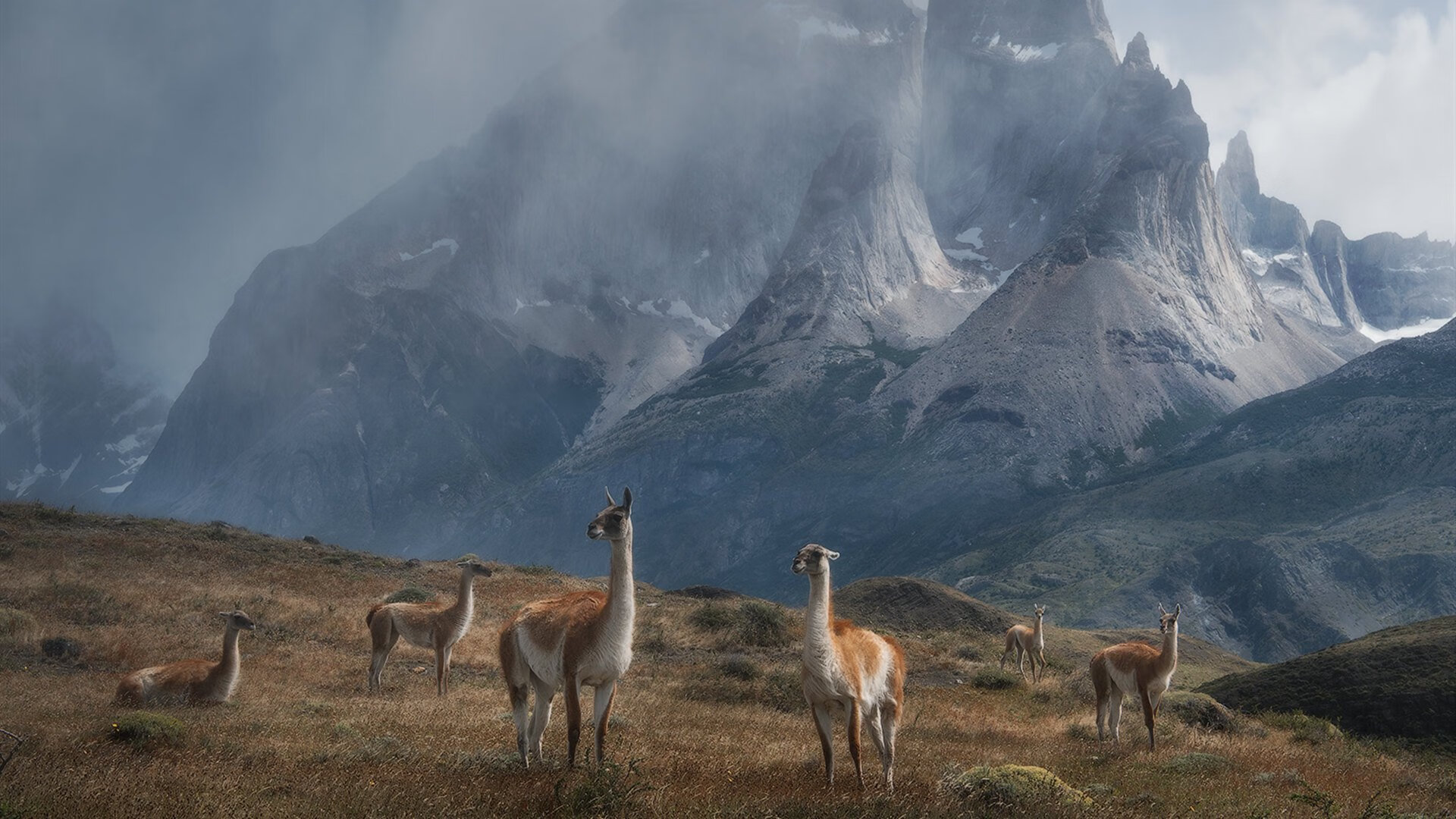 体育暖心瞬间：运动员的友情与付出感动全场