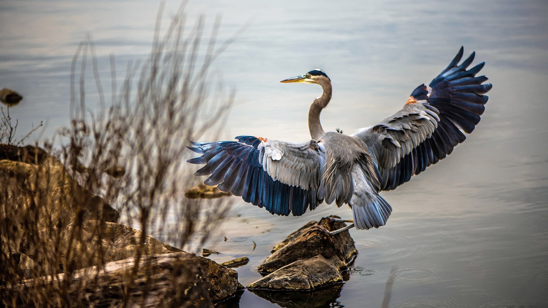 开云app-北大教授怒斥年轻人懒，网友调侃“有29个研究生，何须自己累？”